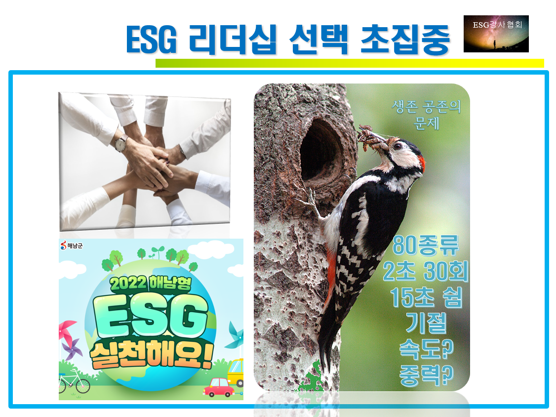 화면 캡처 2022-10-07 153614.png