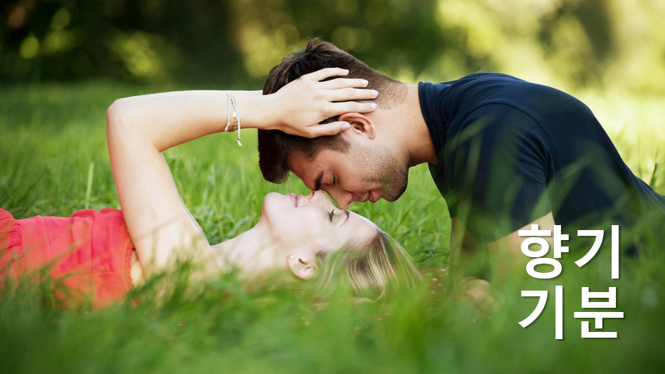 주석 2019-10-06 210713.png