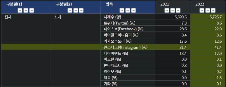 SNS 사용 현황.png
