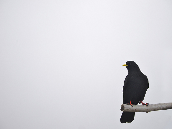 024. 백수 잡담.png