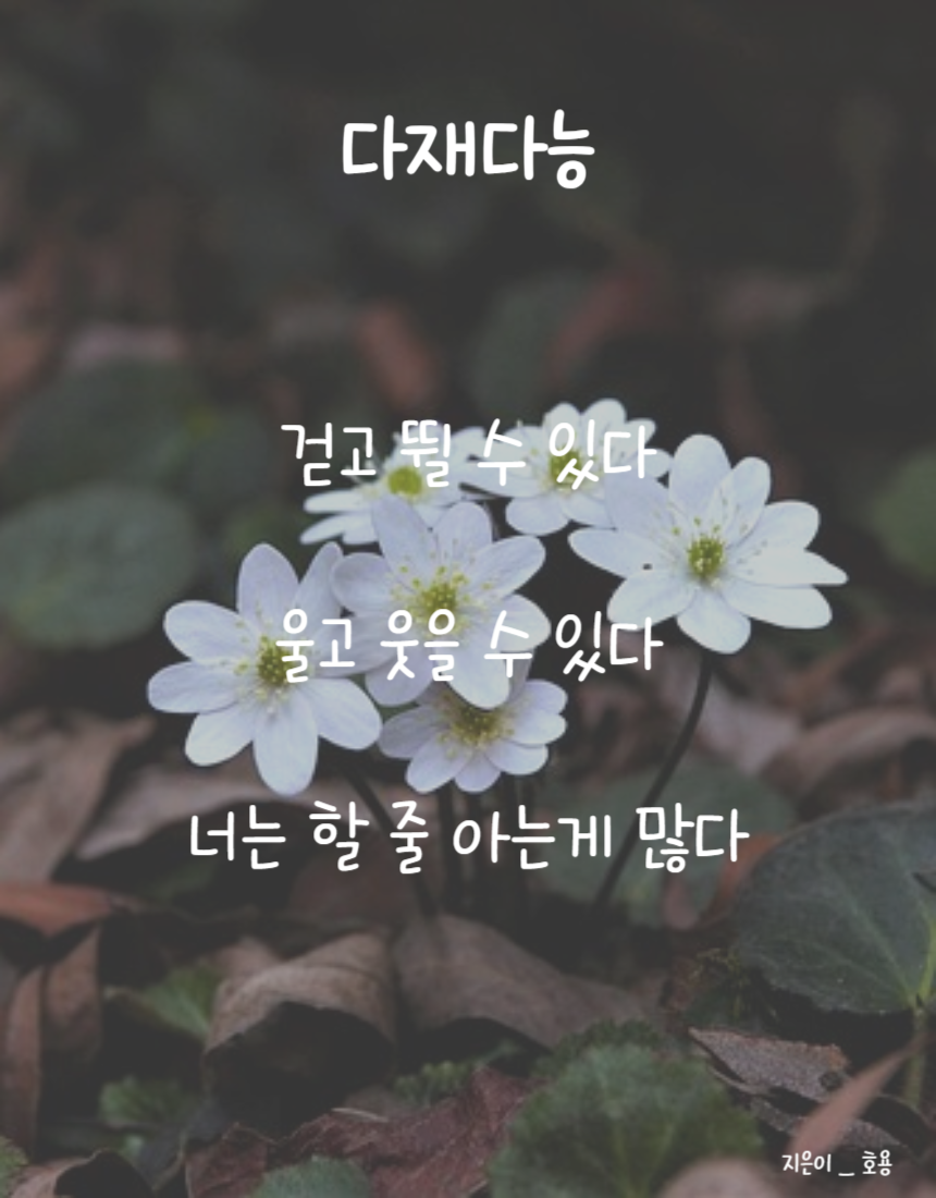 다재다능.png