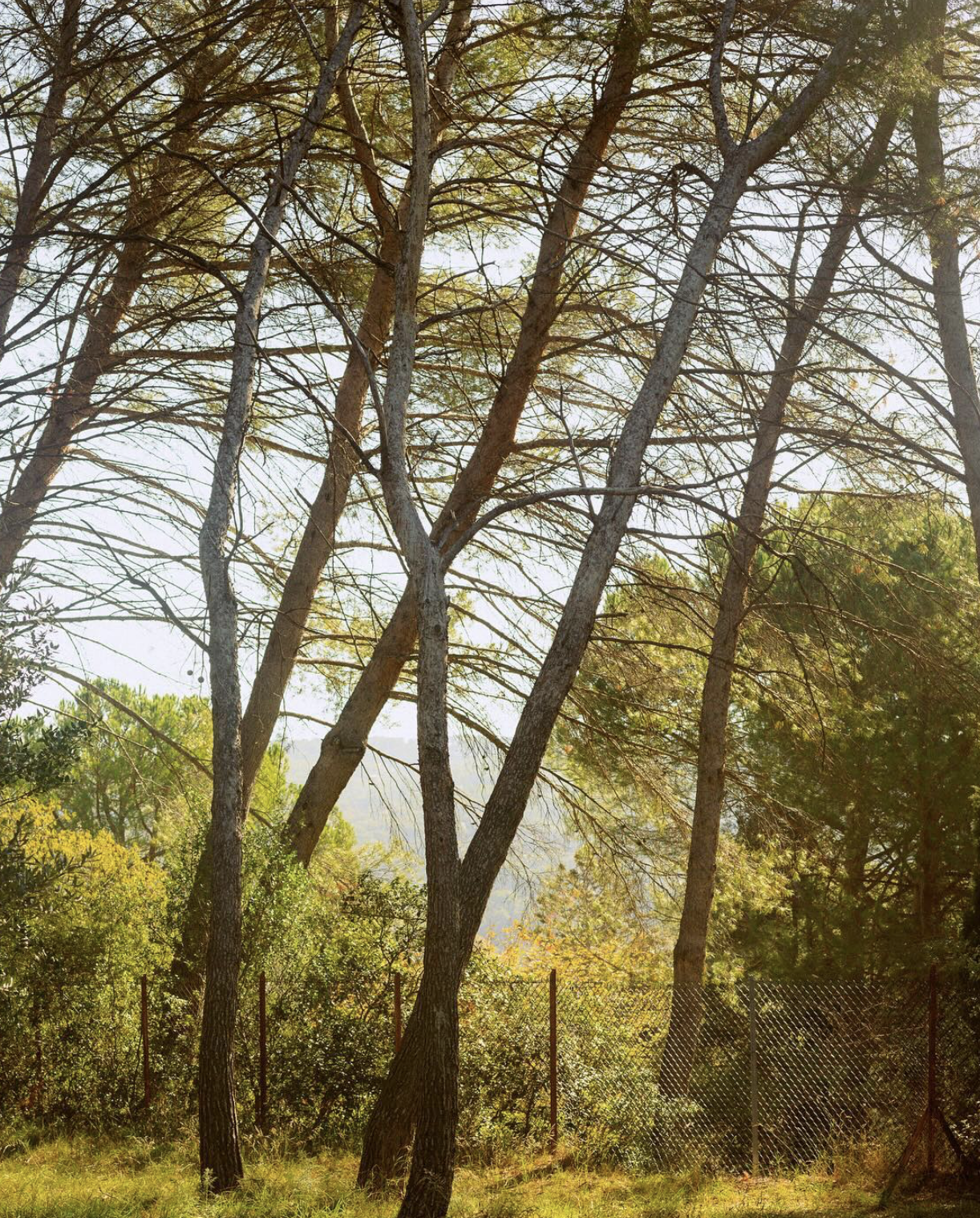 스크린샷 2025-04-29 12.23.22.png