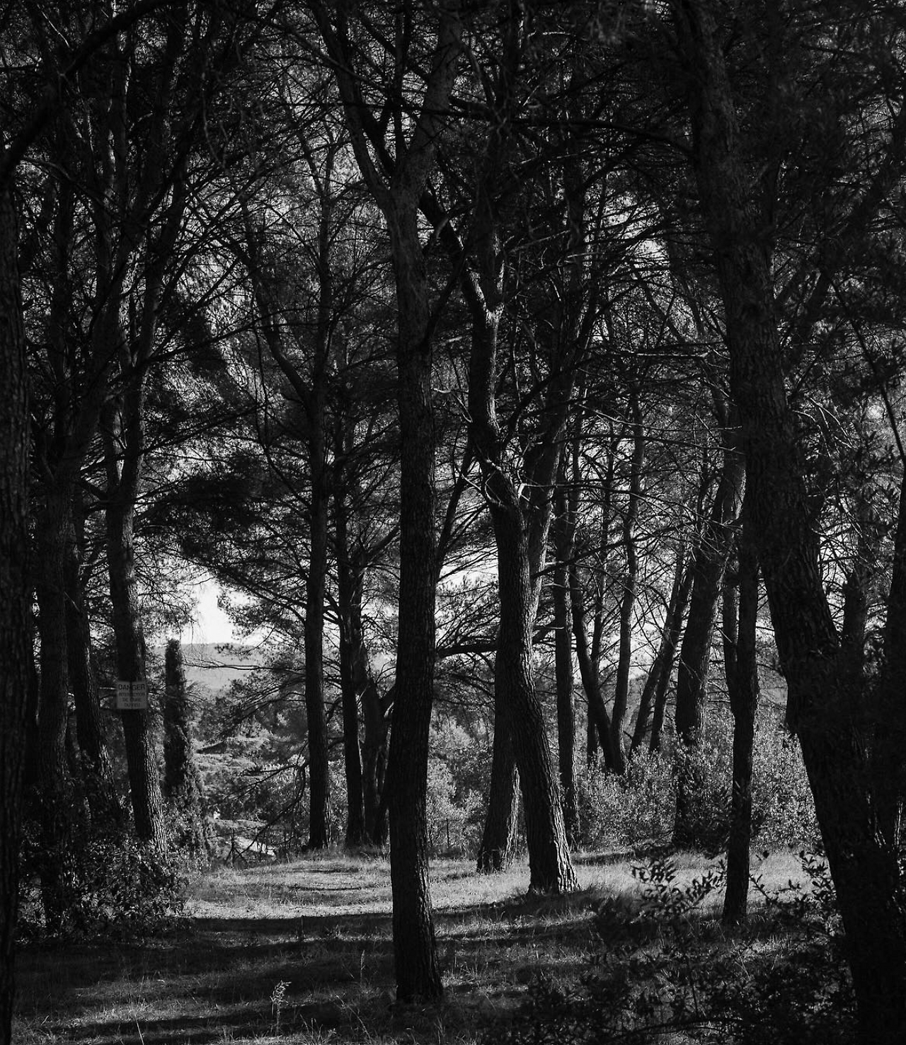 스크린샷 2025-04-29 12.23.35.png