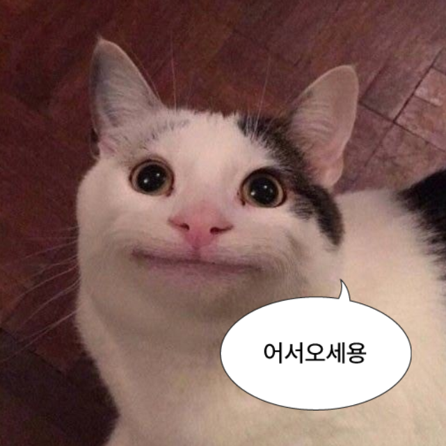 고양이.png