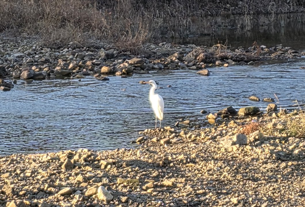 스크린샷 2025-11-11 084144.png