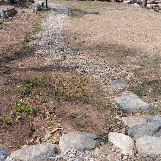 스크린샷 2025-10-16 125301.png