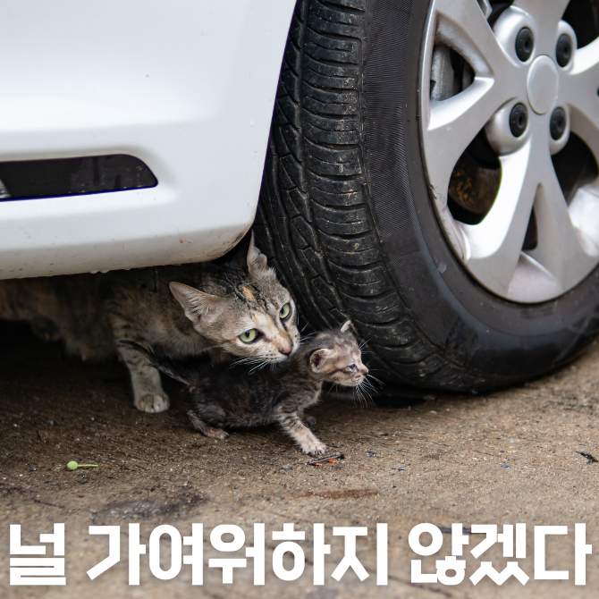 프리미엄 썸네일(작은)의 사본 (7).png