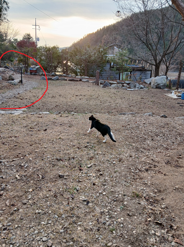 스크린샷 2025-10-29 204951.png