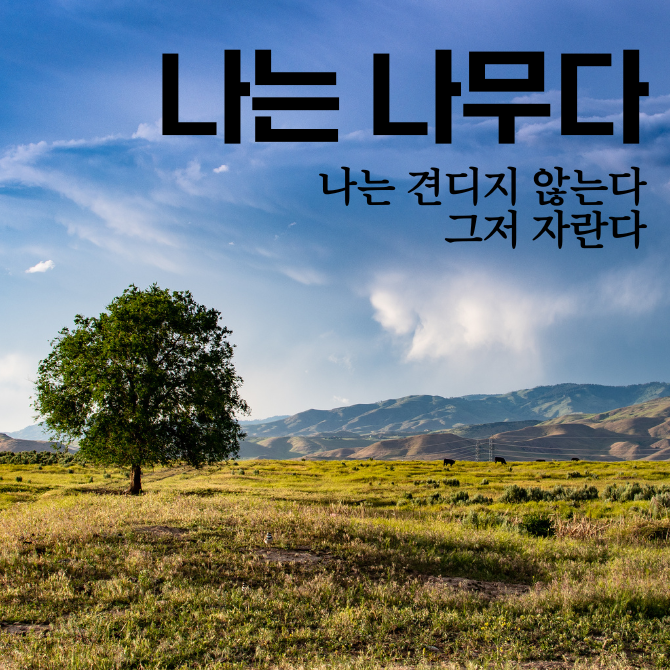 프리미엄 썸네일(작은) - 2026-01-03T080810.272.png