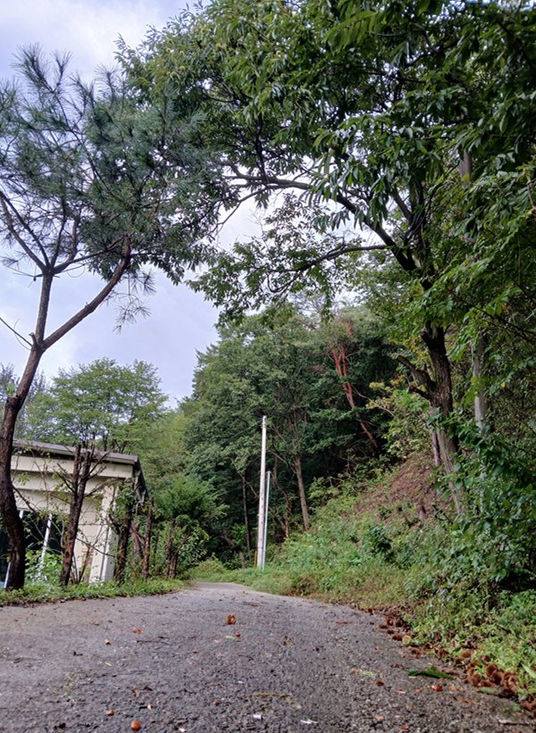 스크린샷 2025-09-18 090105.png