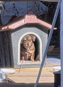 스크린샷 2025-11-12 140206.png