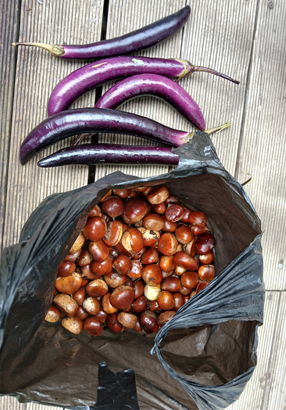 스크린샷 2025-10-17 114736.png