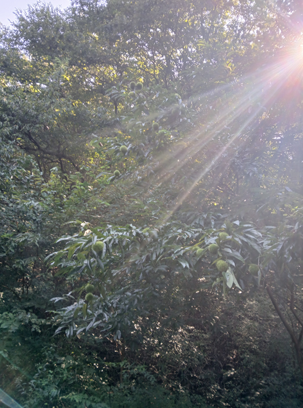 스크린샷 2025-09-25 110847.png