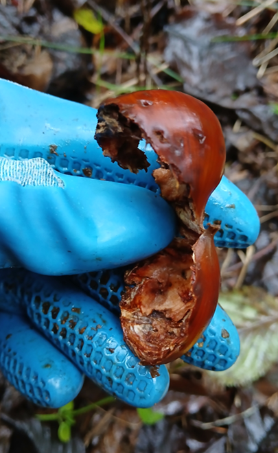 스크린샷 2025-09-25 105505.png