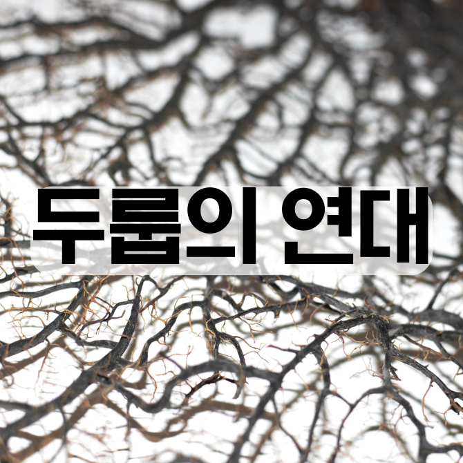 프리미엄 썸네일(작은) (4).png