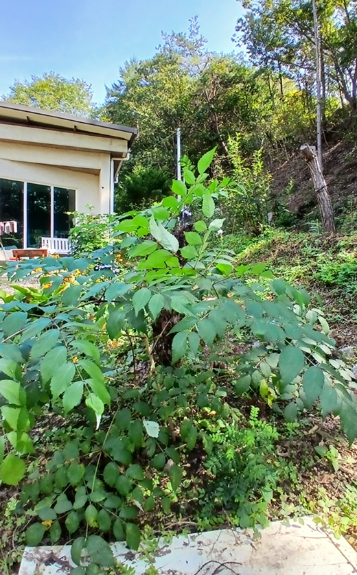 스크린샷 2025-10-02 144836.png