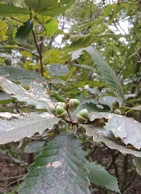 스크린샷 2025-09-14 125253.png