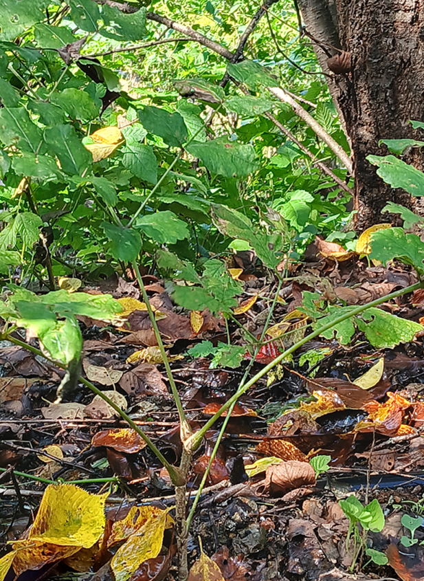 스크린샷 2025-10-02 144921.png