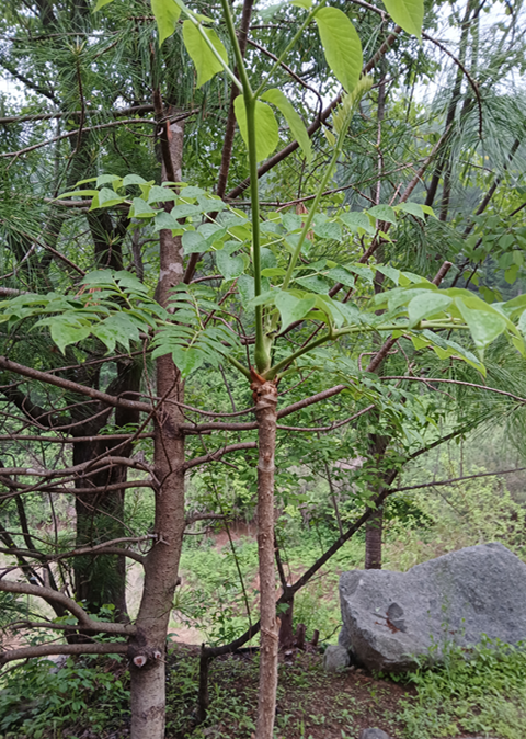 스크린샷 2025-09-14 131925.png