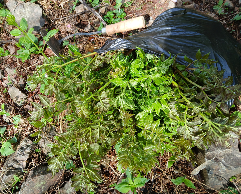 스크린샷 2025-09-14 132155.png