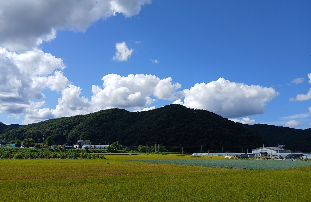 스크린샷 2025-11-06 113544.png