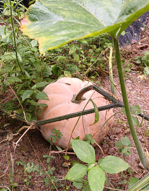 스크린샷 2025-09-16 081349.png