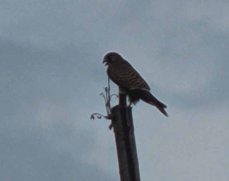 스크린샷 2025-11-20 093848.png