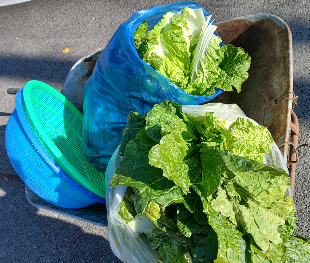 스크린샷 2025-11-12 152012.png