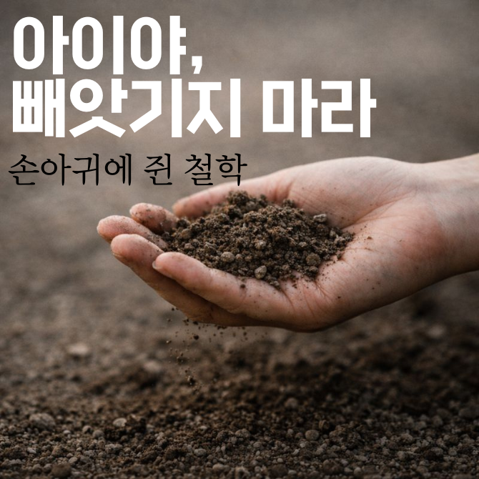 프리미엄 썸네일(작은) - 2026-01-13T085055.995.png