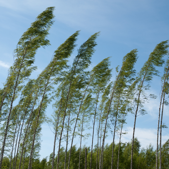 프리미엄 썸네일(작은) - 2026-01-03T073206.301.png