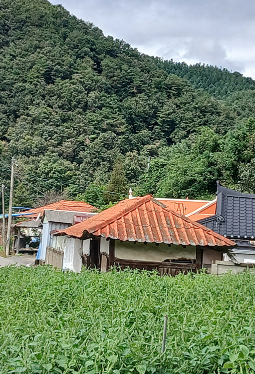 스크린샷 2025-09-25 190926.png