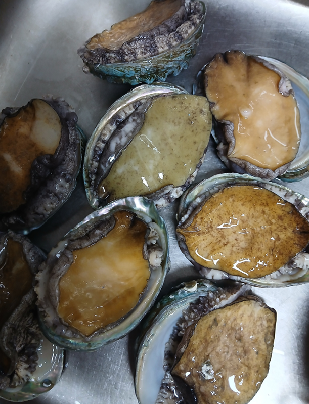 스크린샷 2025-09-25 110616.png