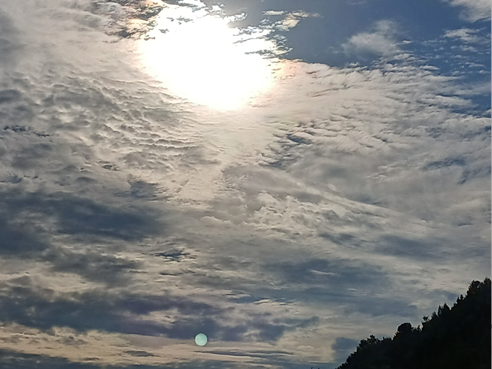 스크린샷 2025-09-26 201232.png