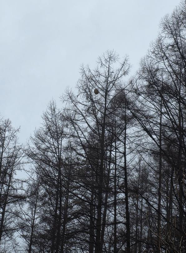 스크린샷 2025-12-11 080722.png