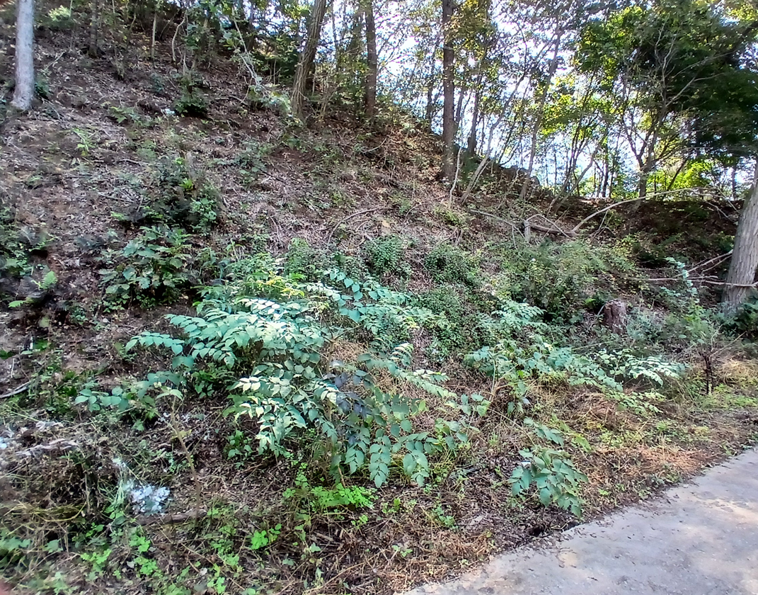 스크린샷 2025-10-02 145011.png