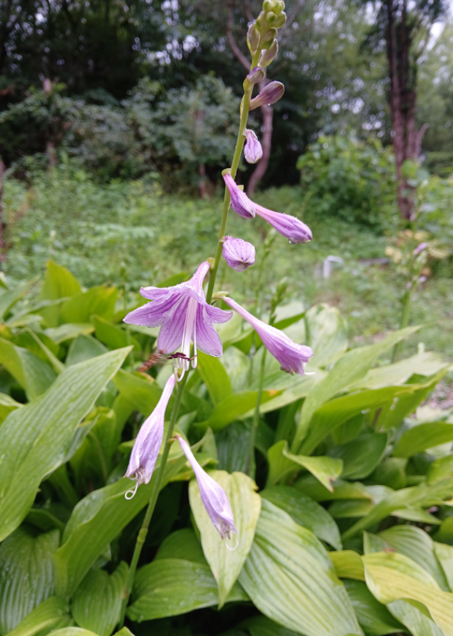 스크린샷 2025-10-30 181754.png