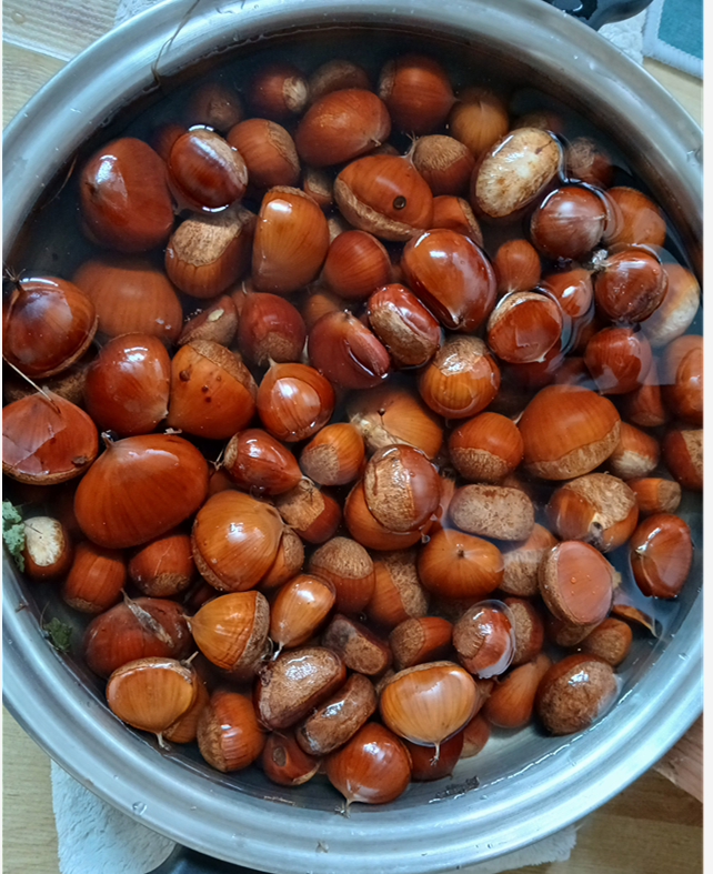 스크린샷 2025-09-25 104805.png