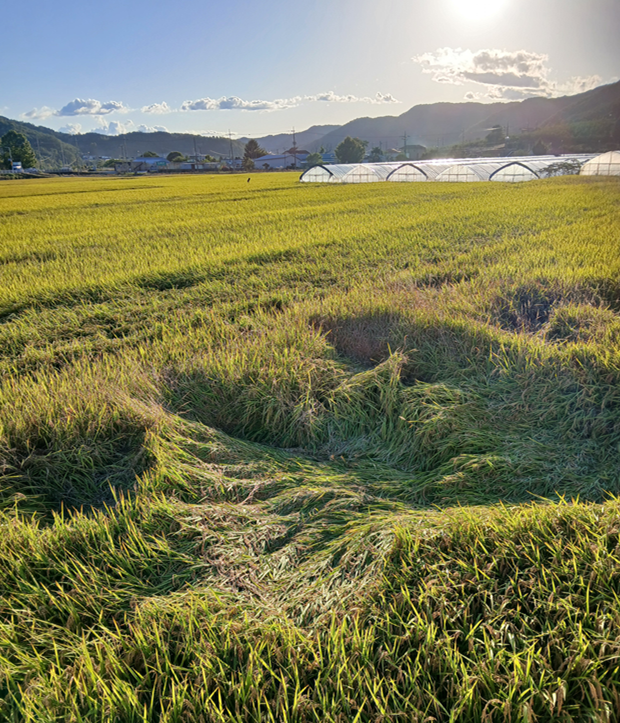 스크린샷 2025-10-08 193355.png