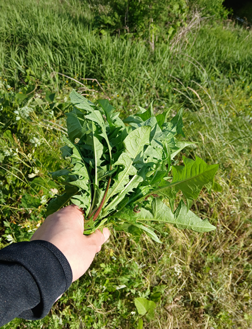 스크린샷 2025-09-14 131936.png