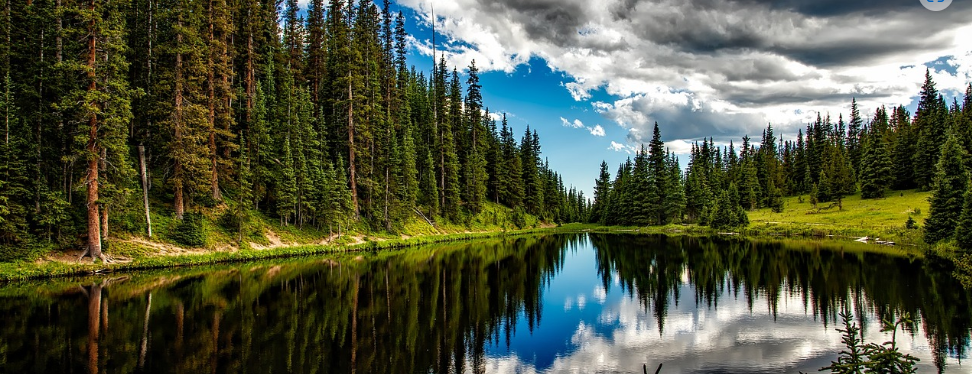 스크린샷 2023-07-05 151417.png