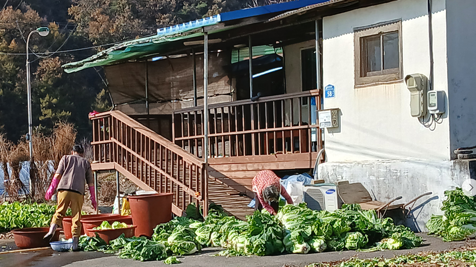 스크린샷 2025-11-06 112915.png