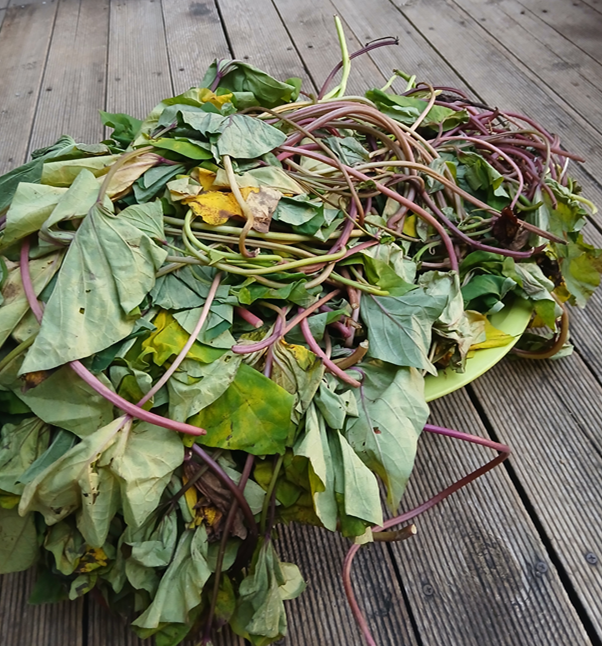 스크린샷 2025-11-06 113942.png