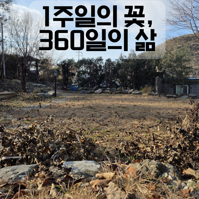 프리미엄 썸네일(작은)의 사본 (4).png