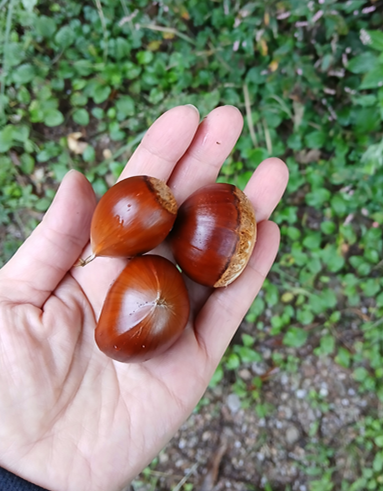 스크린샷 2025-09-14 122520.png