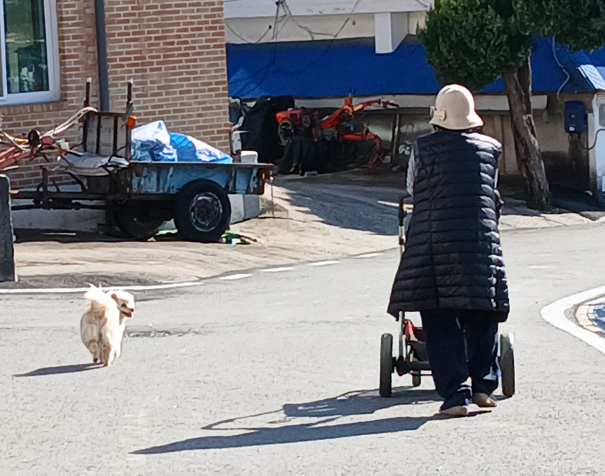 스크린샷 2025-11-12 140422.png