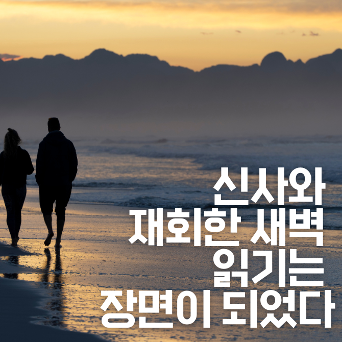 프리미엄 썸네일(작은) - 2026-01-01T083128.967.png