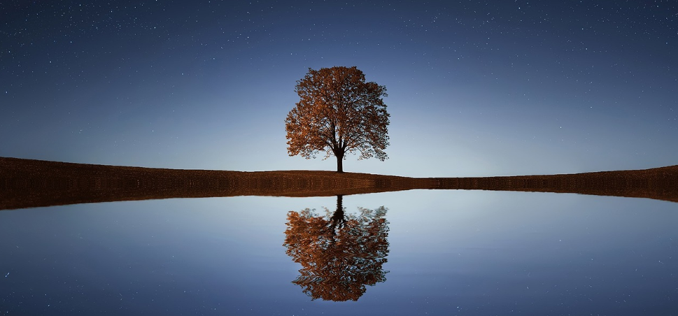 스크린샷 2023-07-05 151317.png