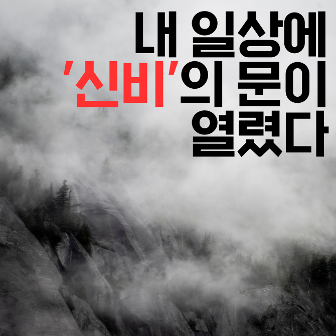프리미엄 썸네일(작은) (55).png