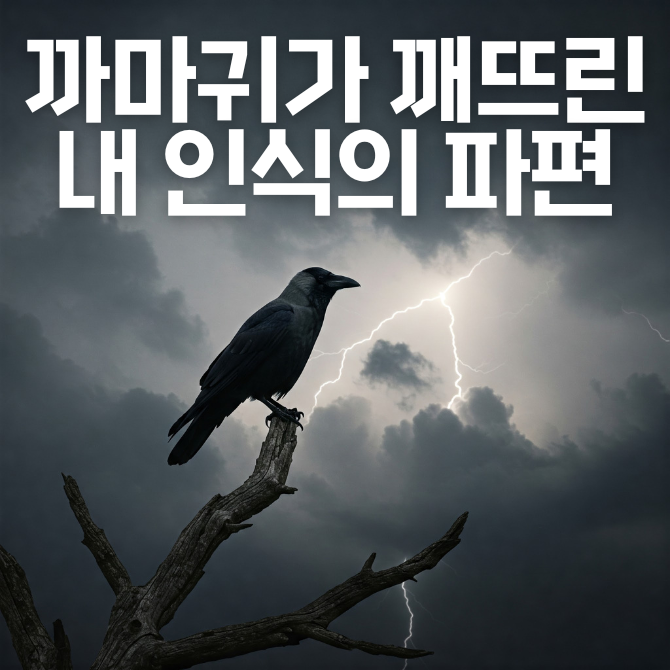 프리미엄 썸네일(작은) (75).png