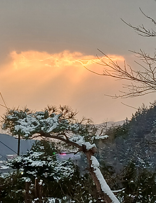 스크린샷 2025-09-26 201119.png